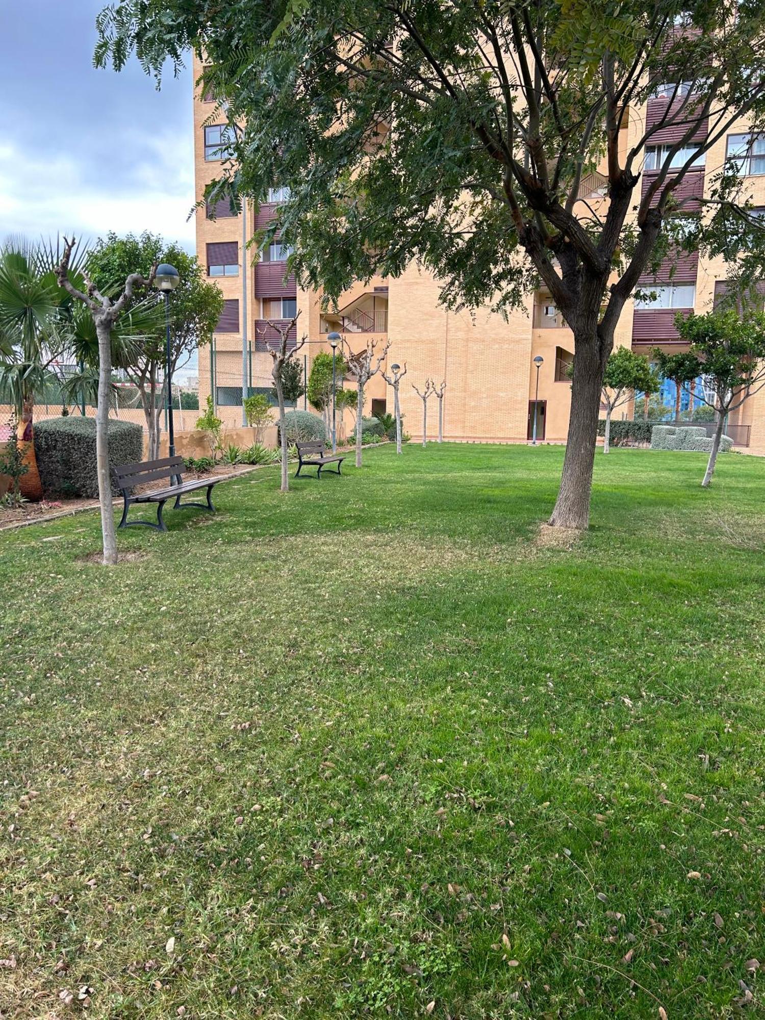 Terrazas Benidorm Lägenhet Exteriör bild
